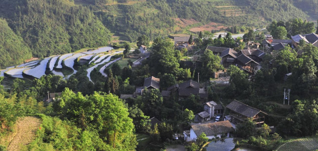 image005 (2).jpg image005 (2).jpg