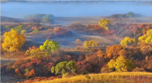 QQ��ͼ20240923110920 (2).jpg